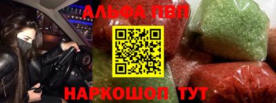 индика Гатчина