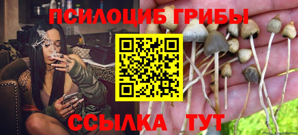 Нижний Новгород  Псилоцибиновые грибы Magic Shrooms  Вход с VPN 